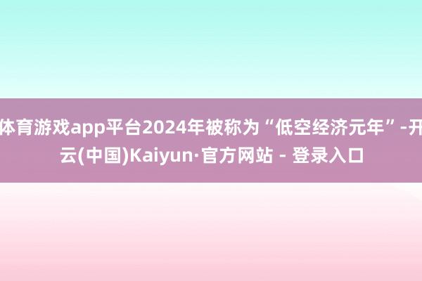 体育游戏app平台2024年被称为“低空经济元年”-开云(中国)Kaiyun·官方网站 - 登录入口